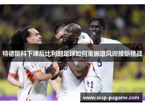 特德斯科下课后比利时足球如何重振雄风迎接新挑战 特德斯科下课后比利时足球如何重振雄风迎接新挑战