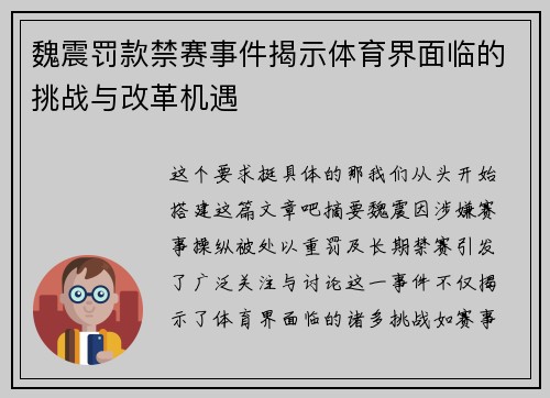 魏震罚款禁赛事件揭示体育界面临的挑战与改革机遇