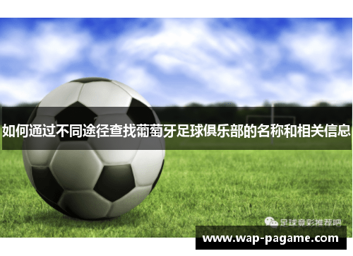 如何通过不同途径查找葡萄牙足球俱乐部的名称和相关信息