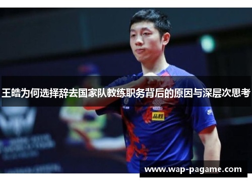 王皓为何选择辞去国家队教练职务背后的原因与深层次思考