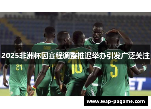 2025非洲杯因赛程调整推迟举办引发广泛关注