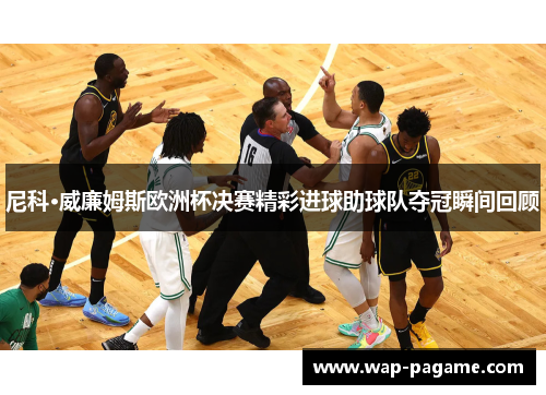 尼科·威廉姆斯欧洲杯决赛精彩进球助球队夺冠瞬间回顾