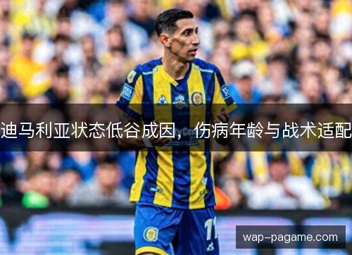 迪马利亚状态低谷成因，伤病年龄与战术适配